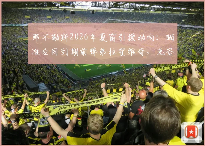 那不勒斯2026年夏窗引援动向：瞄准合同到期前锋弗拉霍维奇，免签操作已启动